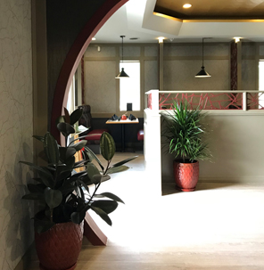 An office space surrounded by plants