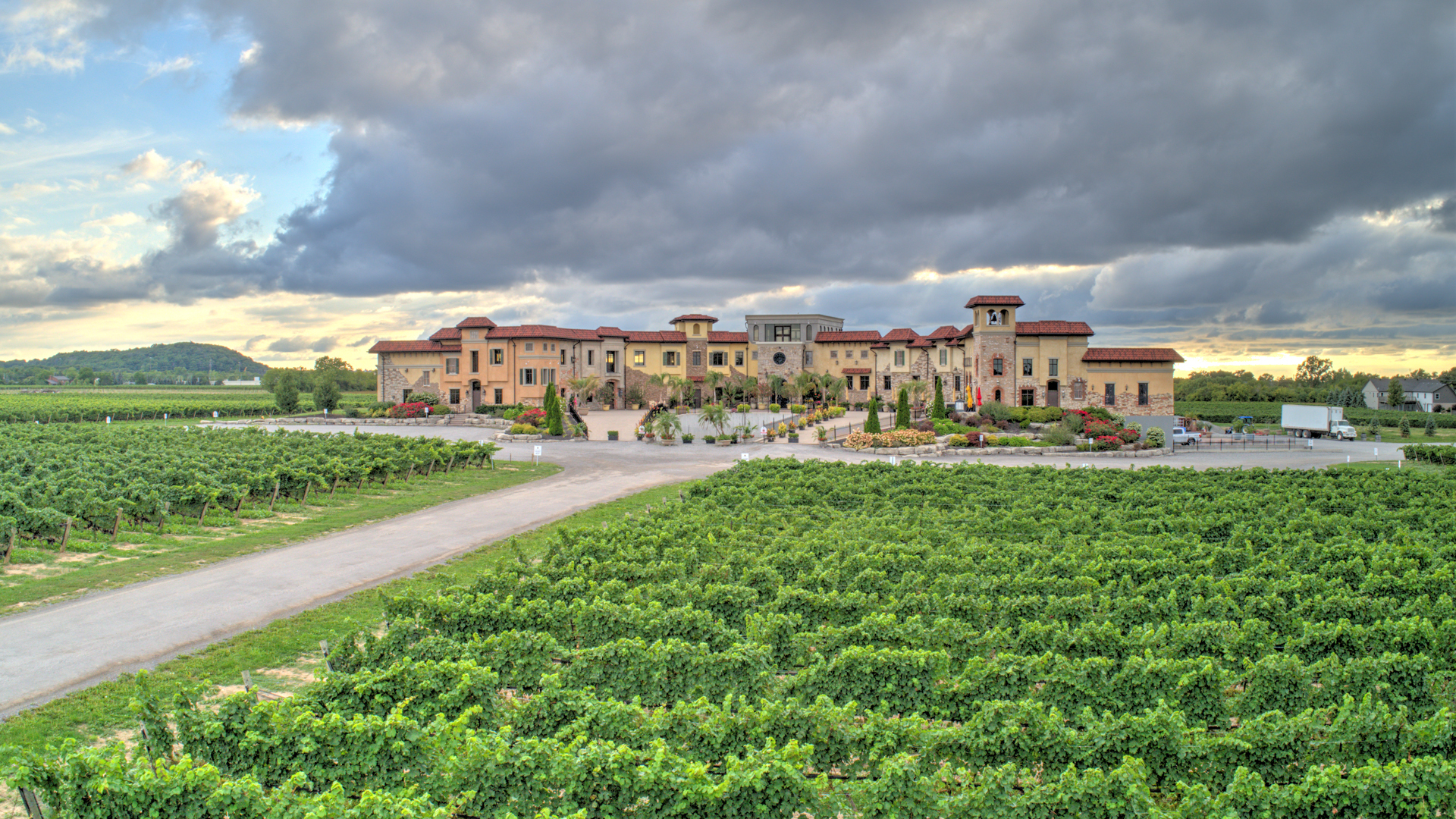 colaneri estate winery tours